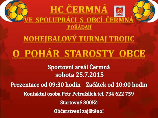 plakat_nohejbal